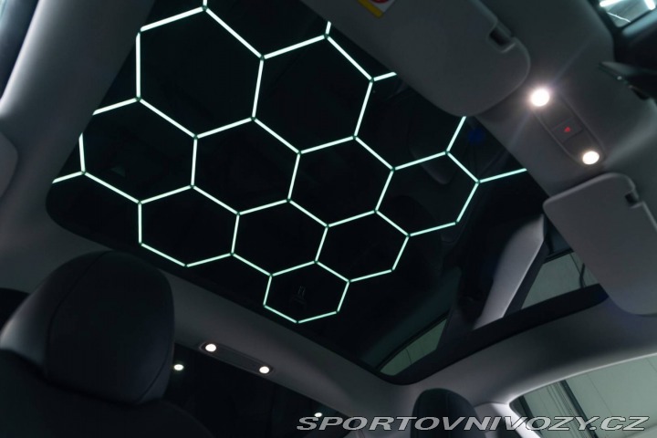 Tesla Model 3 Performance 82kWh AWD 2022