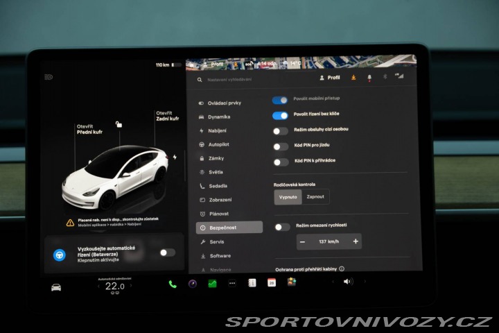 Tesla Model 3 Performance 82kWh AWD 2022