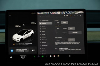 Tesla Model 3 Performance 82kWh AWD 2022