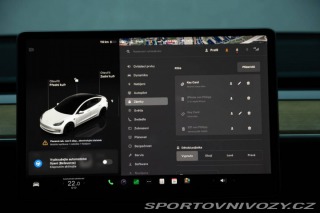 Tesla Model 3 Performance 82kWh AWD 2022