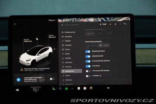 Tesla Model 3 Performance 82kWh AWD 2022