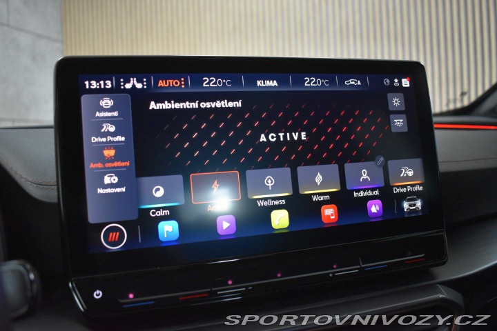 Cupra Formentor 2.0TSI TRIBE Edit*ZÁRUKA 2023