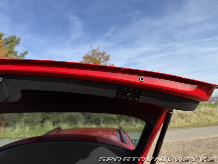 Škoda Octavia RS 245 2017