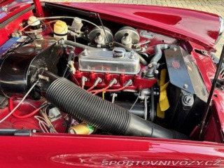 MG Ostatní modely Midget Ashley 1275 RWA 1973