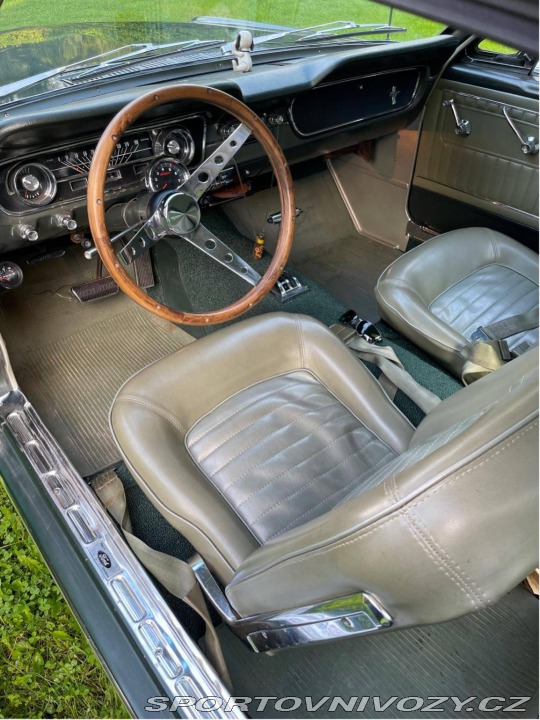 Ford Mustang Fastback 302 1965