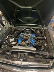 Ford Mustang Fastback 302 1965