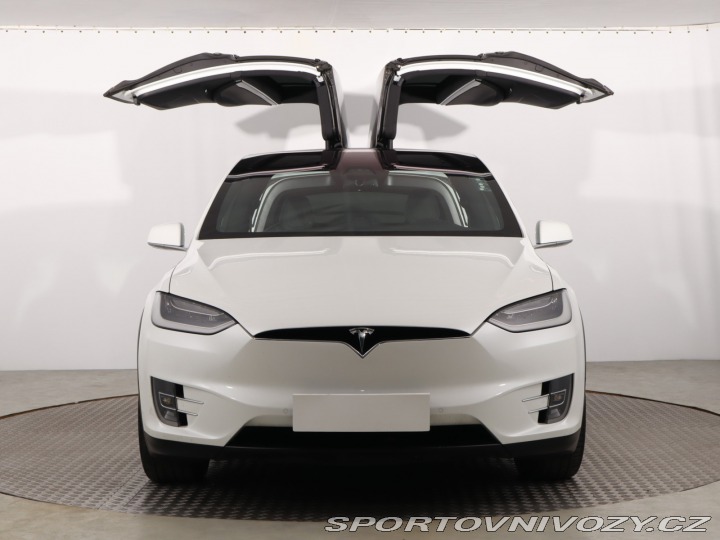 Tesla Model X 100D 2018