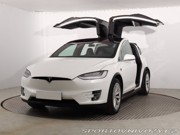 Tesla Model X 100D 2018