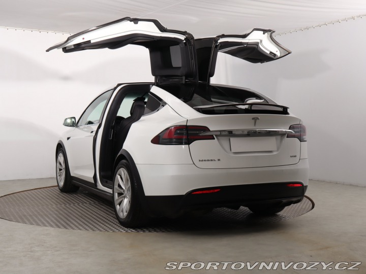 Tesla Model X 100D 2018