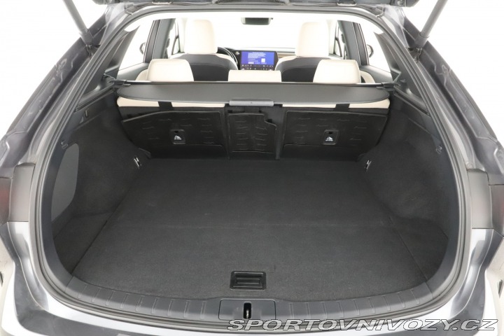 Lexus Ostatní modely RX  450h+ 2023