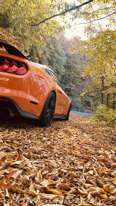 Ford Mustang 2020 Shelby GT500 2020