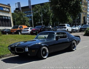Pontiac Firebird Esprit 6.6 V8