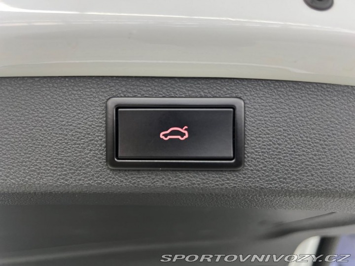 Škoda Kodiaq RS 2.0 Bi-TDI 4X4 RS, ACC, T 2019