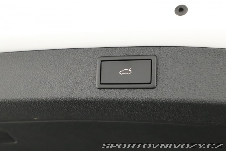 Škoda Kodiaq RS RS RS 2.0 TSI 2024