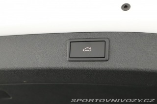 Škoda Kodiaq RS RS RS 2.0 TSI 2024