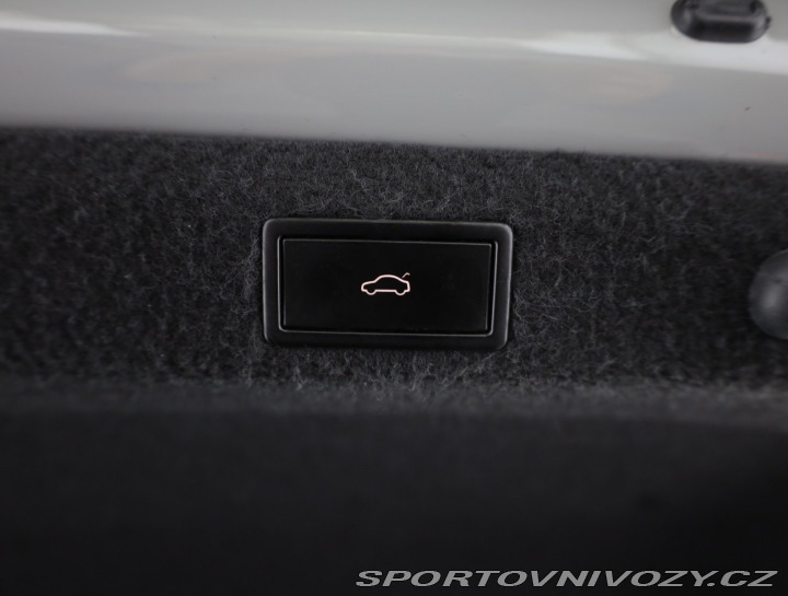 Škoda Octavia RS RS RS 2.0 TSI 2020