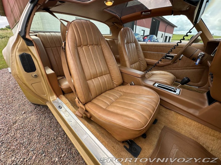 Pontiac Trans Am 6.6 V8 Targa 1979