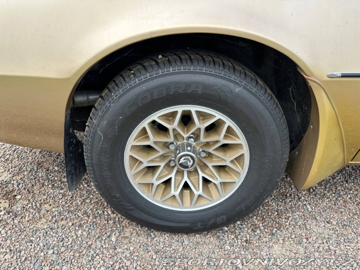 Pontiac Trans Am 6.6 V8 Targa 1979