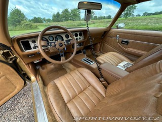 Pontiac Trans Am 6.6 V8 Targa 1979