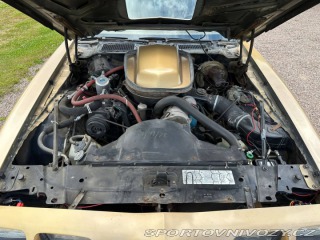 Pontiac Trans Am 6.6 V8 Targa 1979