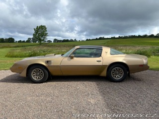 Pontiac Trans Am 6.6 V8 Targa 1979
