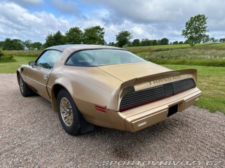 Pontiac Trans Am 6.6 V8 Targa 1979