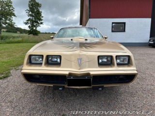 Pontiac Trans Am 6.6 V8 Targa 1979