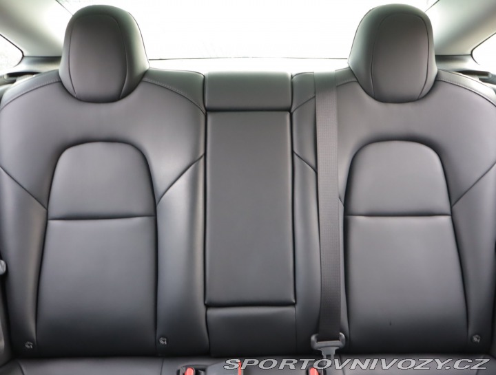 Tesla Model 3 Std Range Plus 52kWh 2020