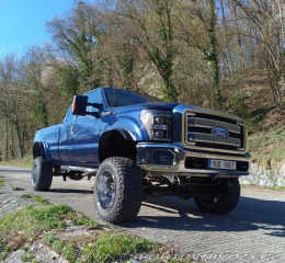 Ford Ostatní modely F-250 MONSTER TRUCK 2011