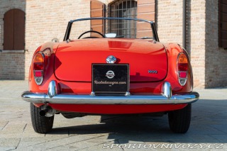 Alfa Romeo Giulia Spider 1964