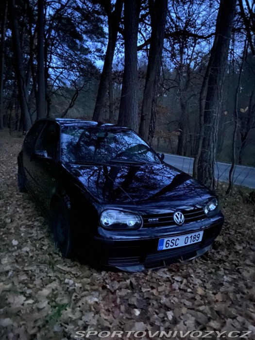 Volkswagen Golf GTI 1.8 Turbo 20 V, 25th