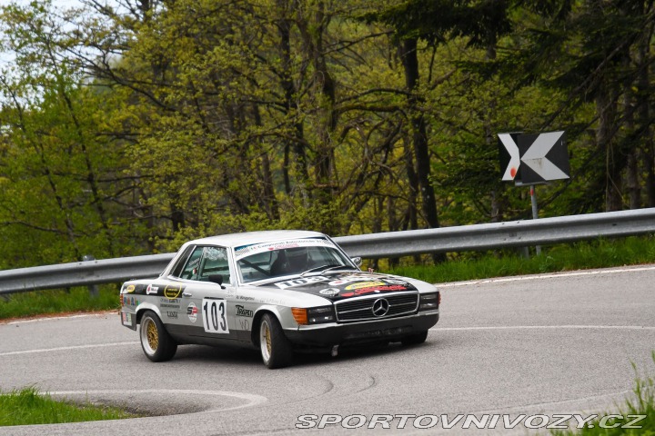Mercedes-Benz SLC 350 SLC Race Car 1973