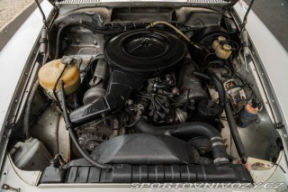 Mercedes-Benz SLC 350 SLC Race Car 1973