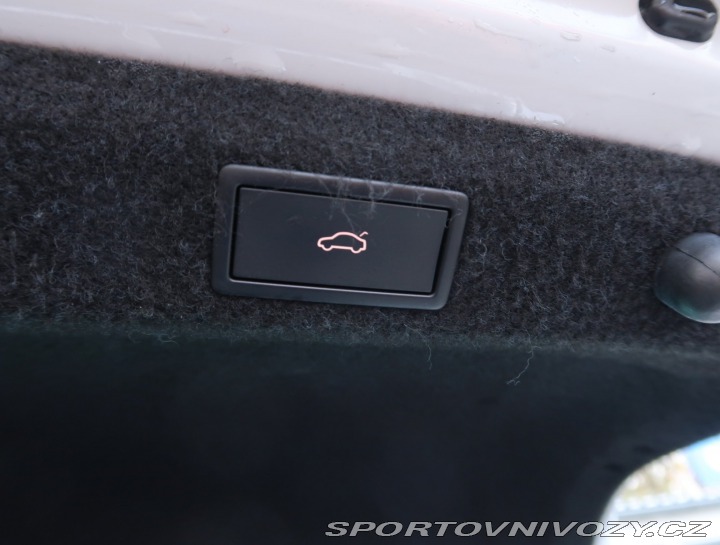 Škoda Octavia RS RS RS 2.0 TDI 4x4 2023