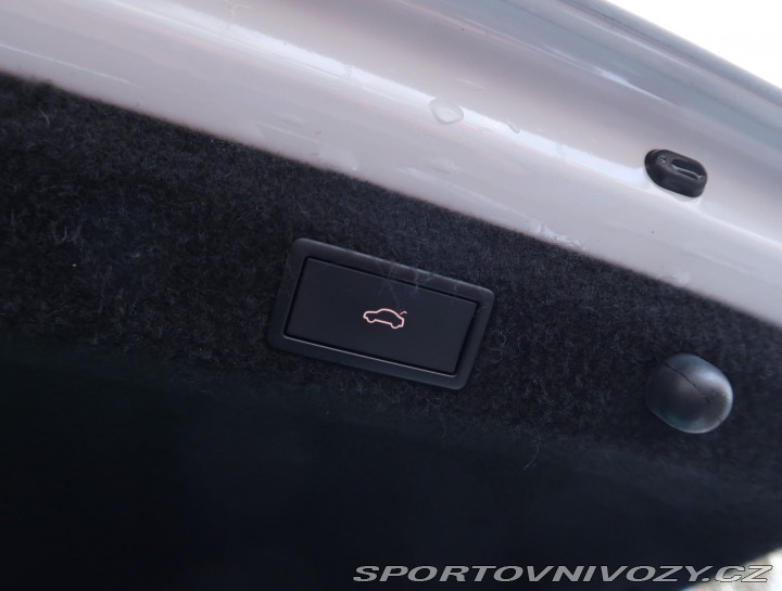 Škoda Octavia RS RS RS 2.0 TDI 4x4 2023