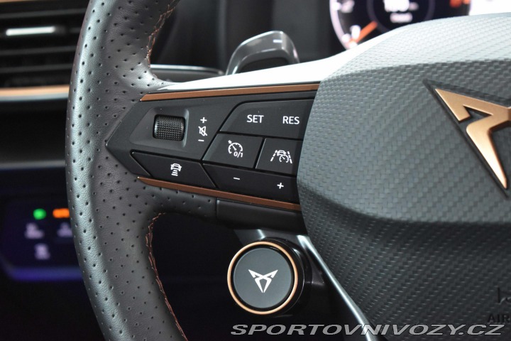 Cupra Formentor VZ 2.0 TSI 4x4*ZÁRUKA 5le 2023
