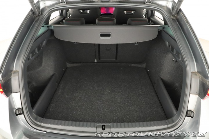 Škoda Octavia RS RS RS 2.0 TSI 2024