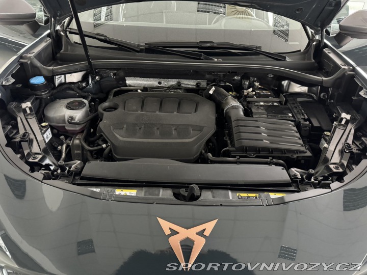 Cupra Terramar 2,0TSI VZ 265*4x4*Matrix* 2025