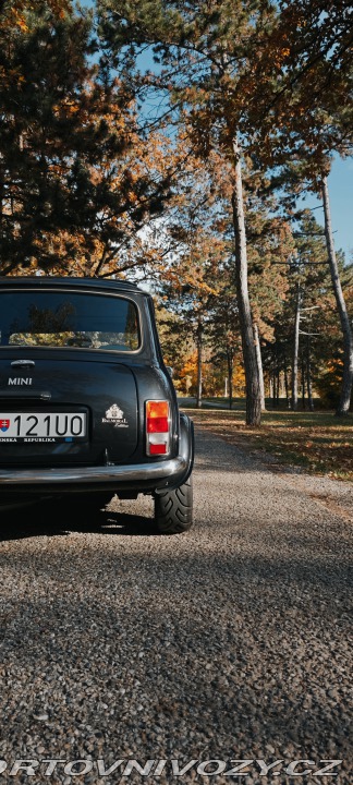 Mini Cooper 1996