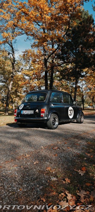 Mini Cooper 1996