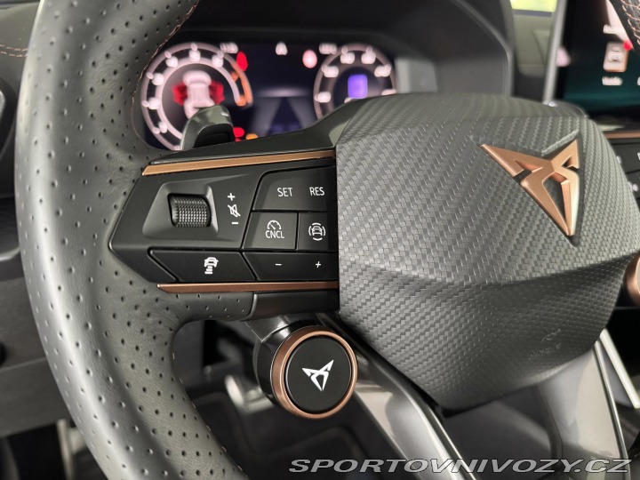 Cupra Formentor 2,0TSI VZ 333*4x4*Panoram 2025