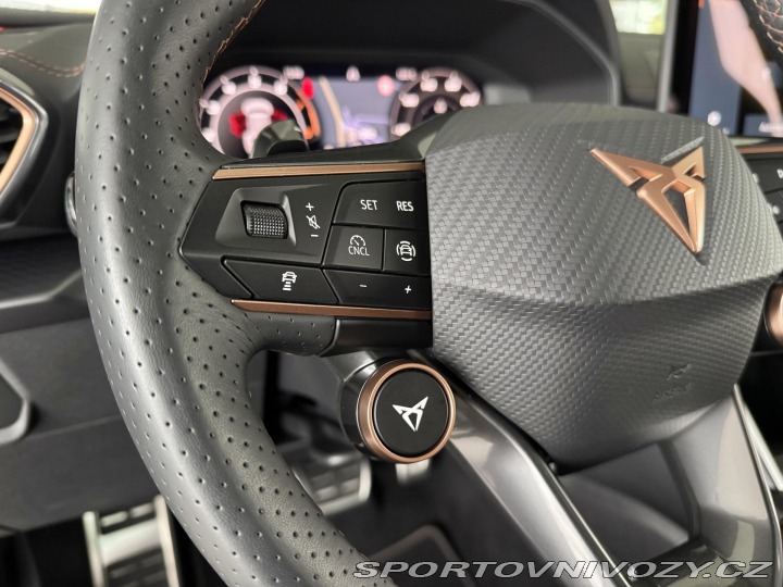 Cupra Formentor 2,0TSI VZ 333*4x4*Panoram 2025