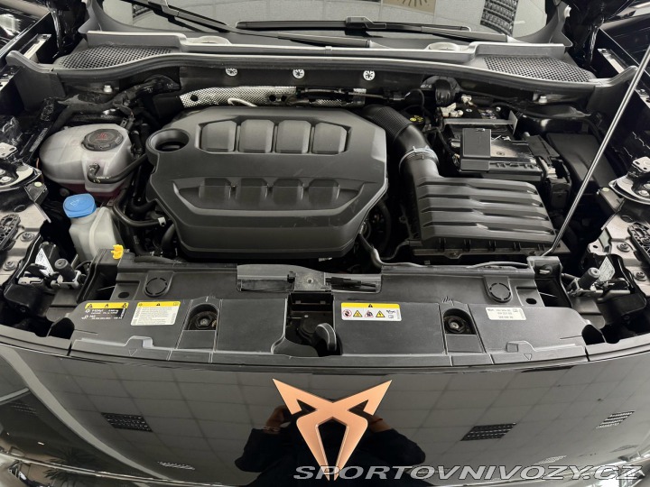 Cupra Formentor 2,0TSI VZ 333*4x4*Panoram 2025