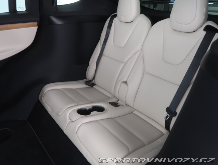 Tesla Model X Performance 2020