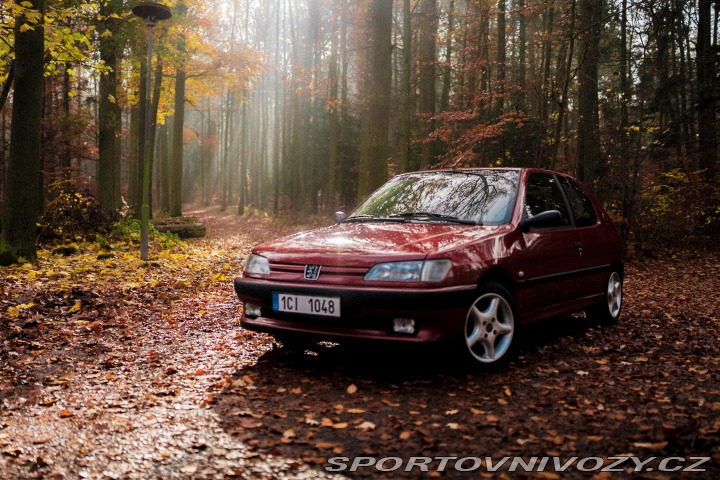 Peugeot 306 XSi 1996