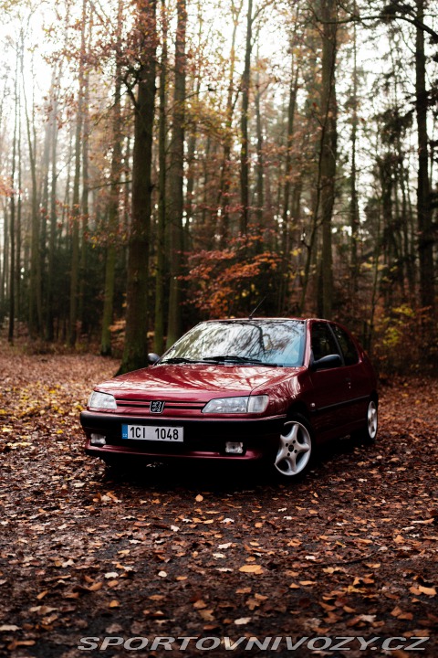 Peugeot 306 XSi 1996