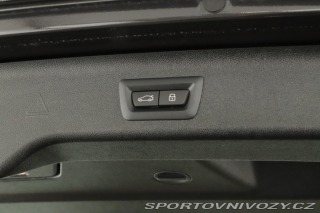 BMW 5 Luxury Line 530d xDrive 2023