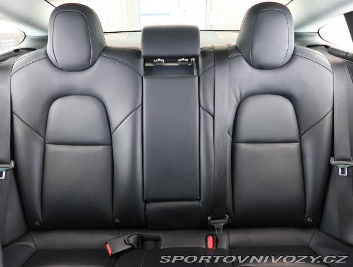 Tesla Model 3 Std Range Plus 52kWh 2020