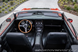 Ford Mustang Convertible 351 V8 (H-co 1973