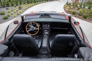 Ford Mustang Convertible 351 V8 (H-co 1973